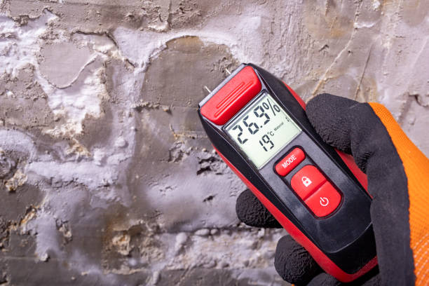 Water Damage Restoration in Tornillo, TX